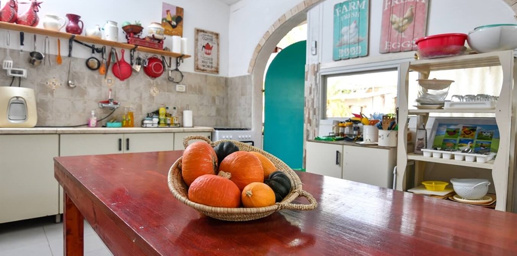 אורחת גמלים - החאן והצימרים של בטי מטבח מרכזי חדשות (3).jpg