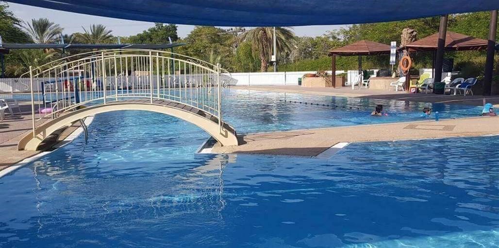 אורחת גמלים - החאן והצימרים של בטי מס 2-גשר בריכה.jpg