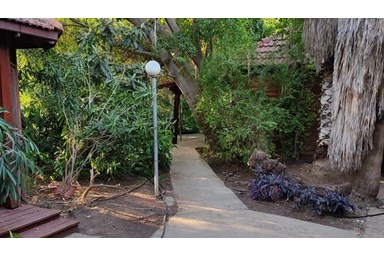 ברק בקתות נופש - החצר