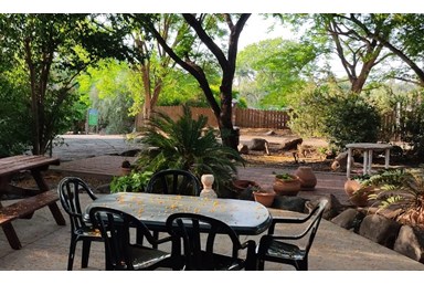 ברק בקתות נופש - החצר