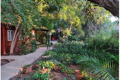 ברק בקתות נופש - החצר