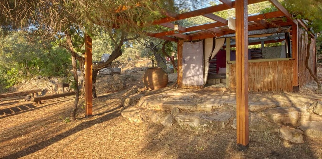 דרך התנ"ך אל הטבע סוכת הגת 4ערוך.jpg