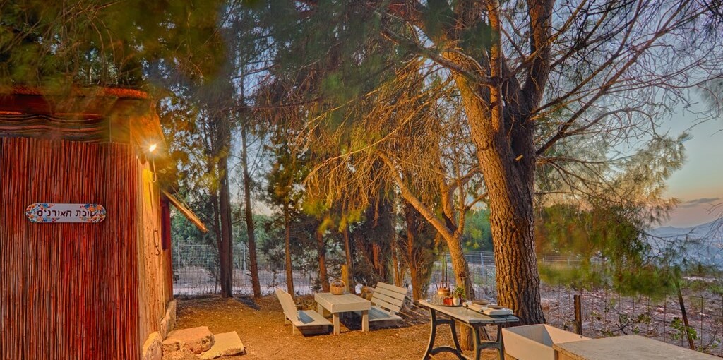 דרך התנ"ך אל הטבע אורנים מבחוץ.jpg