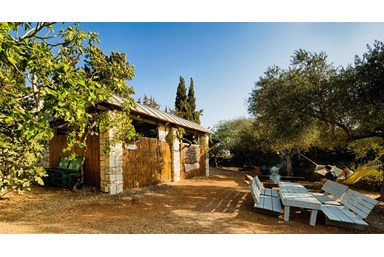 דרך התנ"ך אל הטבע