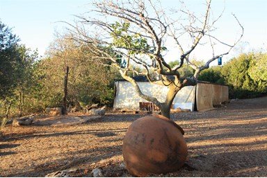 דרך התנ"ך אל הטבע - אוהל אברהם