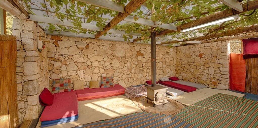 דרך התנ"ך אל הטבע הגפן.jpg