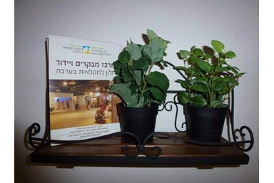 מקום בלב - עין יהב - הסוויטה הזוגית