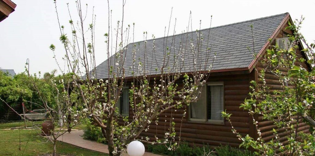 אשכולית בקתות עץ בפרדס חצר (6).JPG