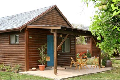 אשכולית בקתות עץ בפרדס