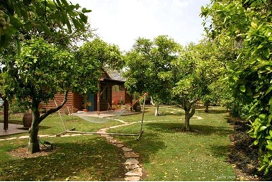 אשכולית בקתות עץ בפרדס - הבקתות