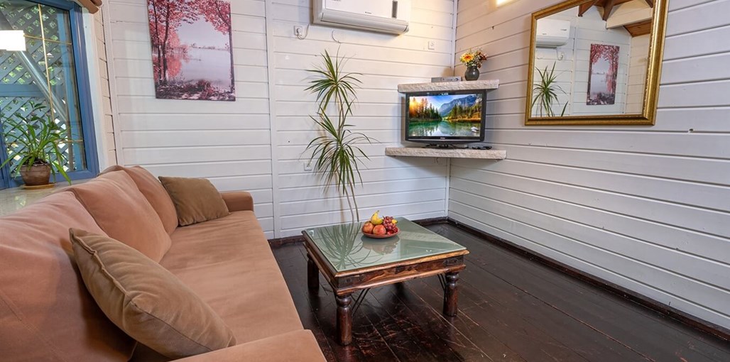 אביב בלב מיכאל אנג'לו (1).jpg