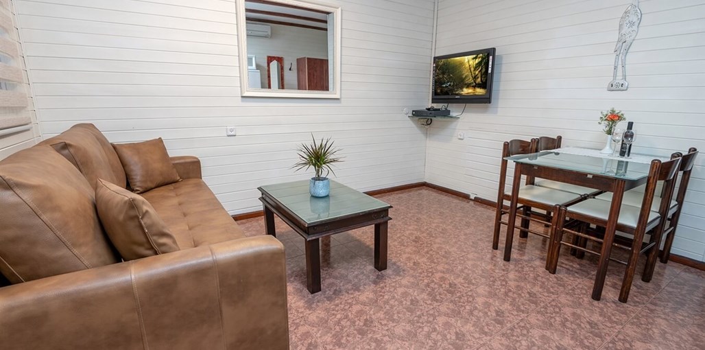 אביב בלב פיקאסו (1).jpg