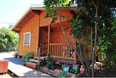 ארבל בתי קייט