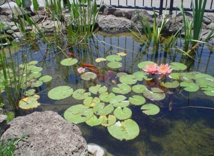 אוויר ואווירה -בקתות עץ וג'קוזי תיירות אקולוגית (1).jpg