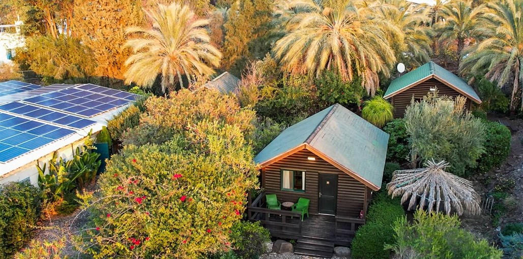 דבש בגולן נוף (5).jpg