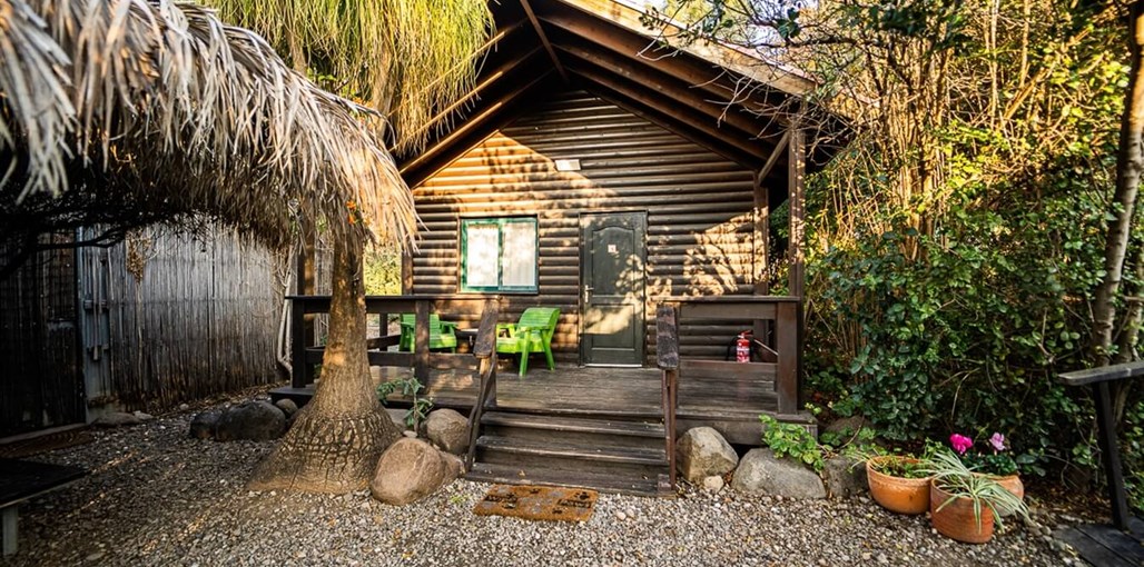 דבש בגולן החצר (15).jpg