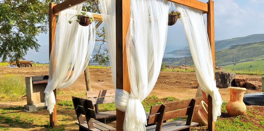 אחוזת מול כנרת חצר ובריכה (7).JPG