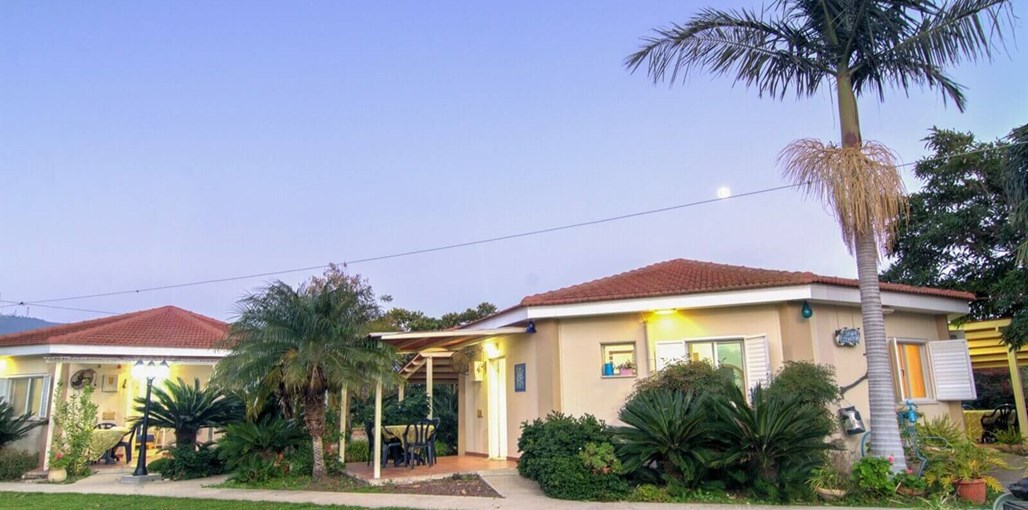 שביל החלב חצר (17).JPG