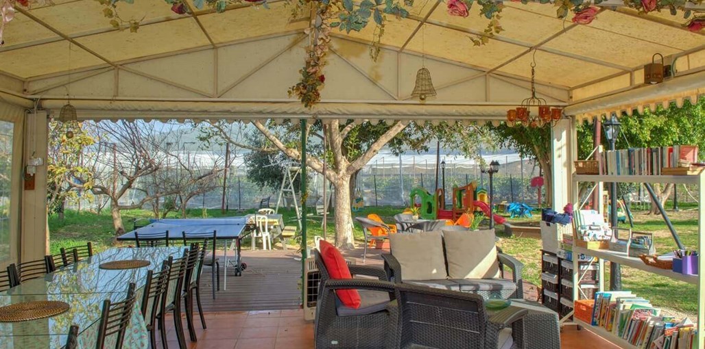 שביל החלב חצר (10).JPG