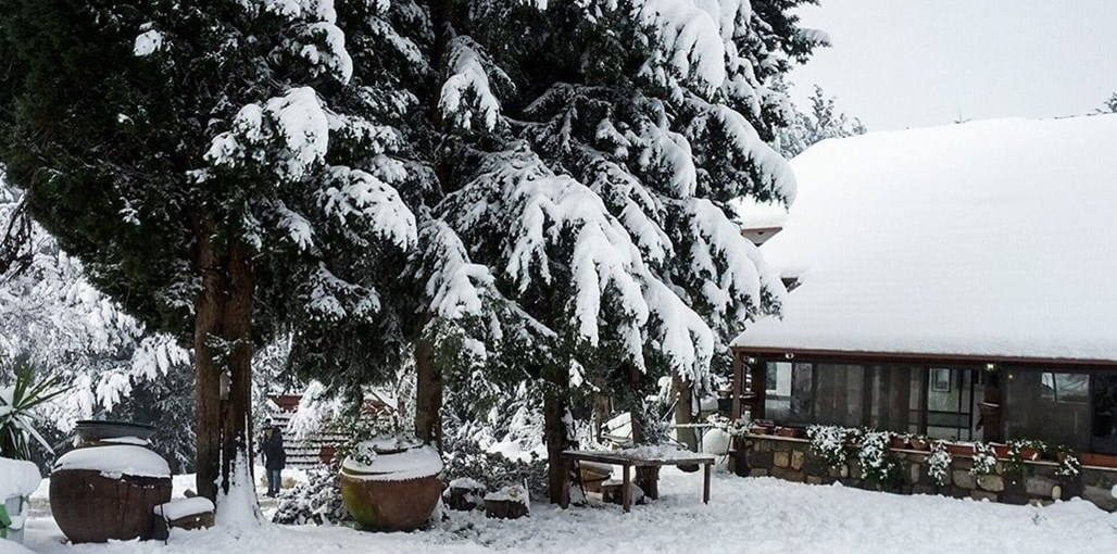 מלון הציידים נוף, סביבה וחצר (10).jpg