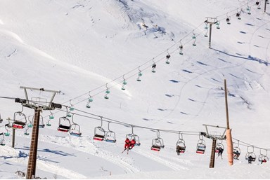 מלון הציידים - החצר הנוף והסביבה