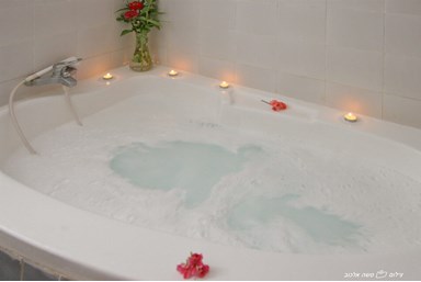 בוסתן ציפורי - חצר ונוף