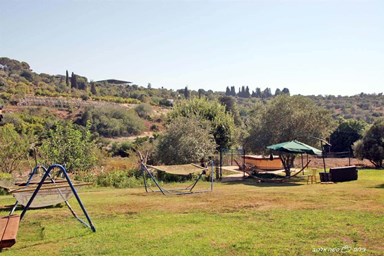 בוסתן ציפורי - רימון ותאנה