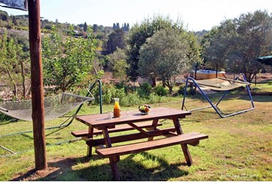 בוסתן ציפורי - רימון ותאנה