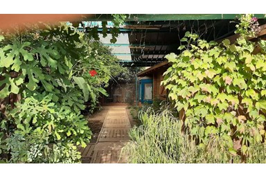 מקום אגדה - החצר שלנו