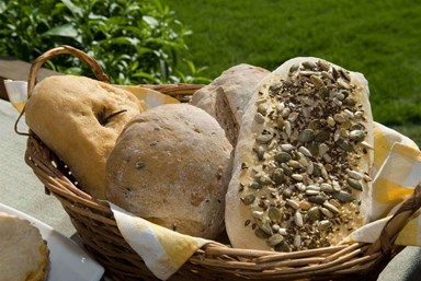 בוקר טוב - בקתות עץ לנופש - הארוחות והסדנאות שלנו