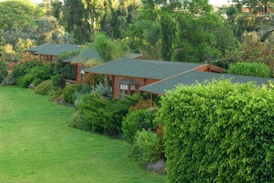 בוקר טוב - בקתות עץ לנופש - החצר והנוף