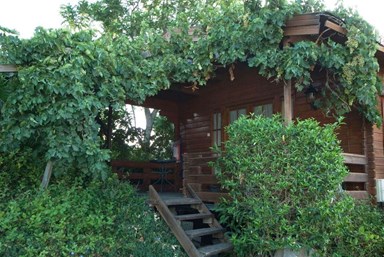 בוקר טוב - בקתות עץ לנופש - החצר והנוף