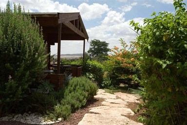 בוקר טוב - בקתות עץ לנופש - החצר והנוף