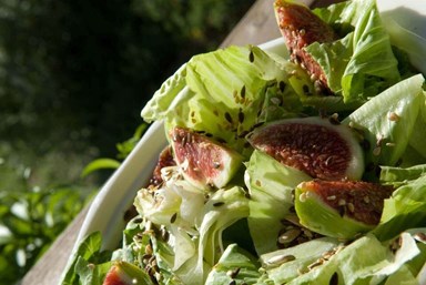 בוקר טוב - בקתות עץ לנופש - הארוחות והסדנאות שלנו