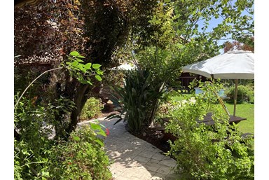 ניחוח פרי  - החצר