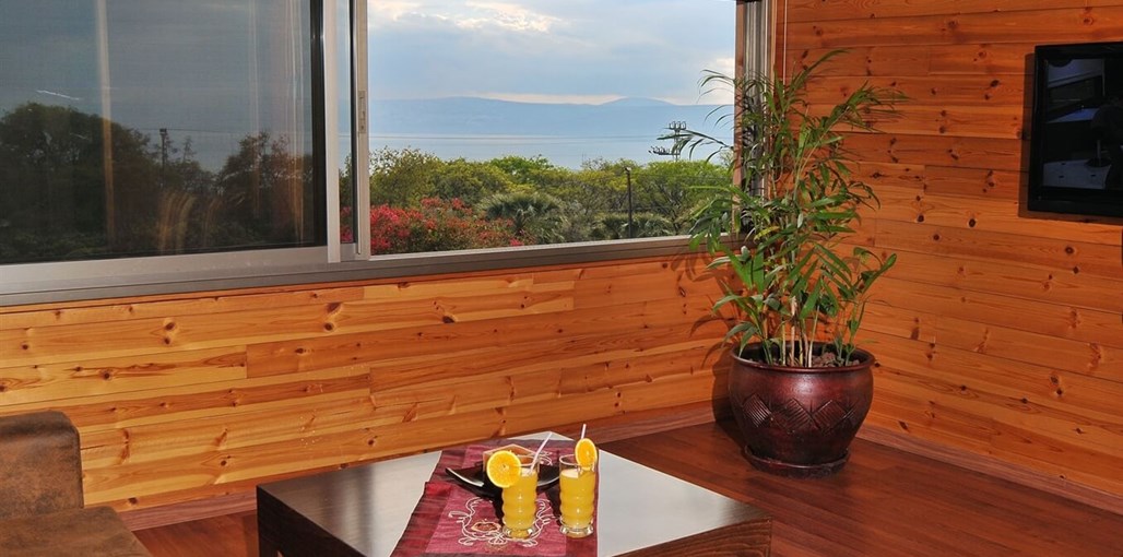 בקתות הגפן סוויטת כנרת (4).JPG