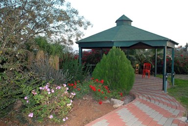 נוף חרמון - אירוח כפרי איכותי - החצר והנוף