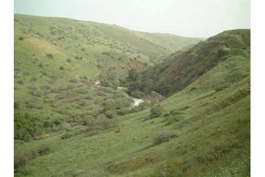 נוף חרמון - אירוח כפרי איכותי - החצר והנוף