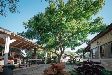 בקתות עץ אלון - חצר, בריכה וסביבה