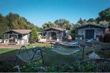 בקתות עץ אלון - חצר, בריכה וסביבה