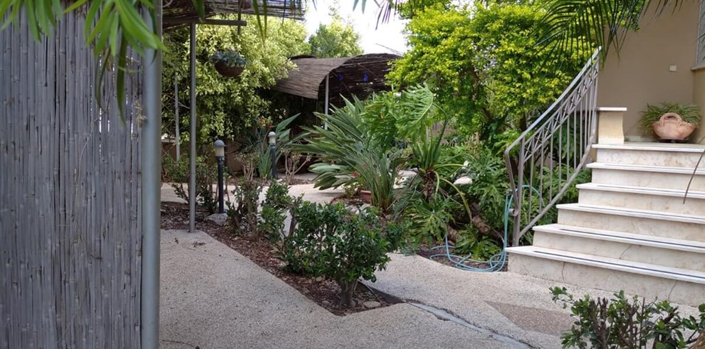 ארבלית בכפר חדשות יולי (5).jpeg