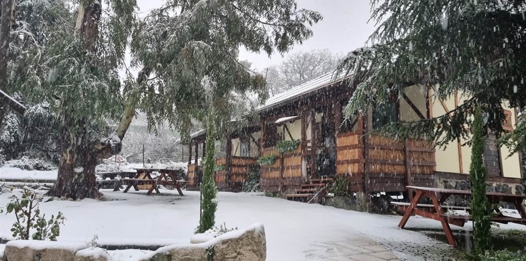 ויטראז' ההר מרץ 23 (2).jpg