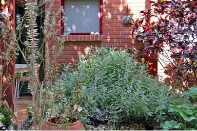 פנינה בבצת - הבקתה המשפחתית