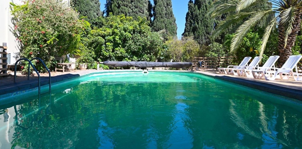 פינת הסחלב חדשות (19).jpg