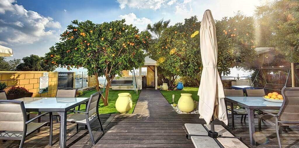 מצפה כנרת ערוך מצפה כנרת 2020 (39).jpg