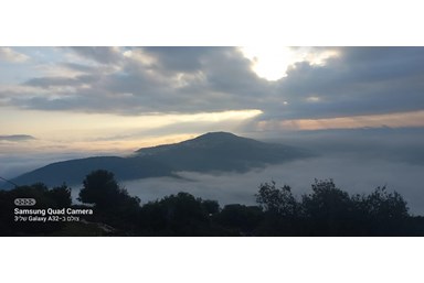 מים לים - סוויטות אבן עץ, ג'קוזי ואח עצים - חצר ונוף