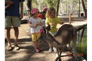 ניר דוד אירוח כפרי - גן גורו