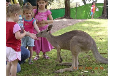 ניר דוד אירוח כפרי