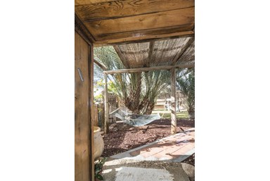 שבילים במדבר