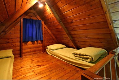 בקתות עץ השדה - התמר והתאנה